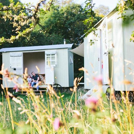 Snowdonia Shepherds' Huts Conwy Exteriör bild