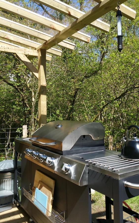 Snowdonia Shepherds' Huts Conwy Exteriör bild