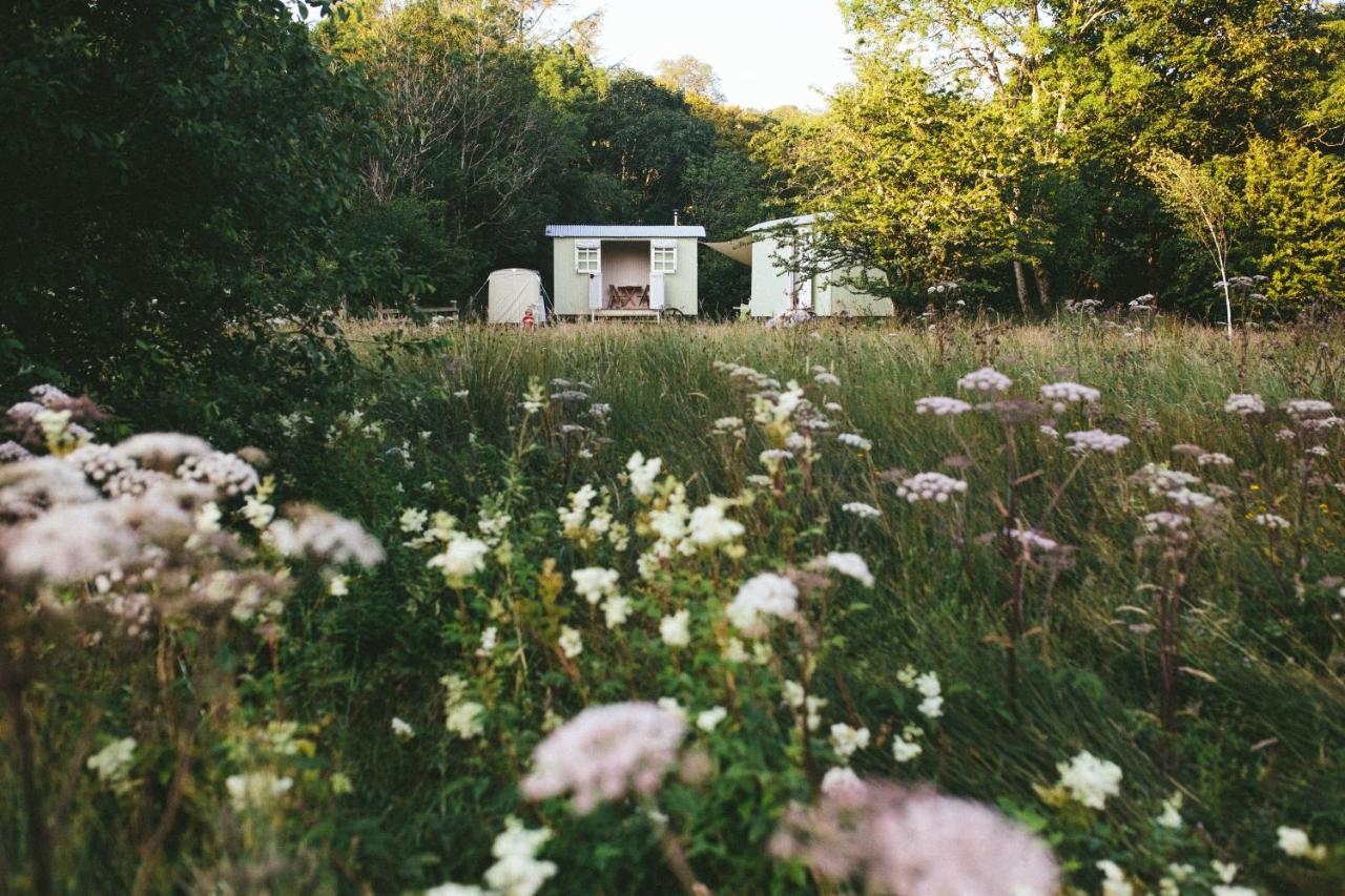 Snowdonia Shepherds' Huts Conwy Exteriör bild