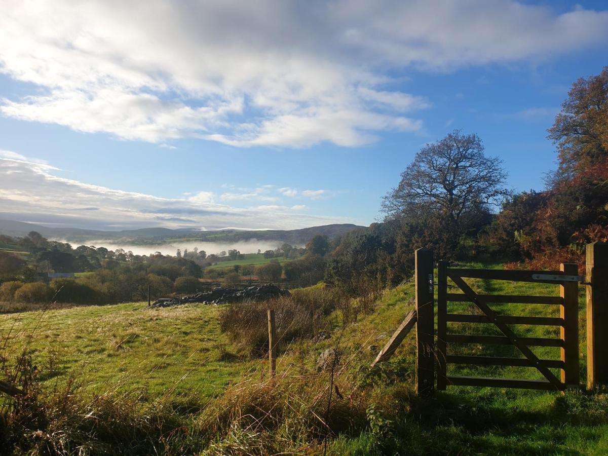 Snowdonia Shepherds' Huts Conwy Exteriör bild