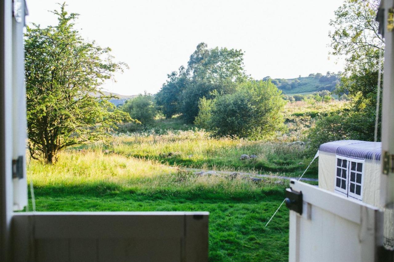 Snowdonia Shepherds' Huts Conwy Exteriör bild