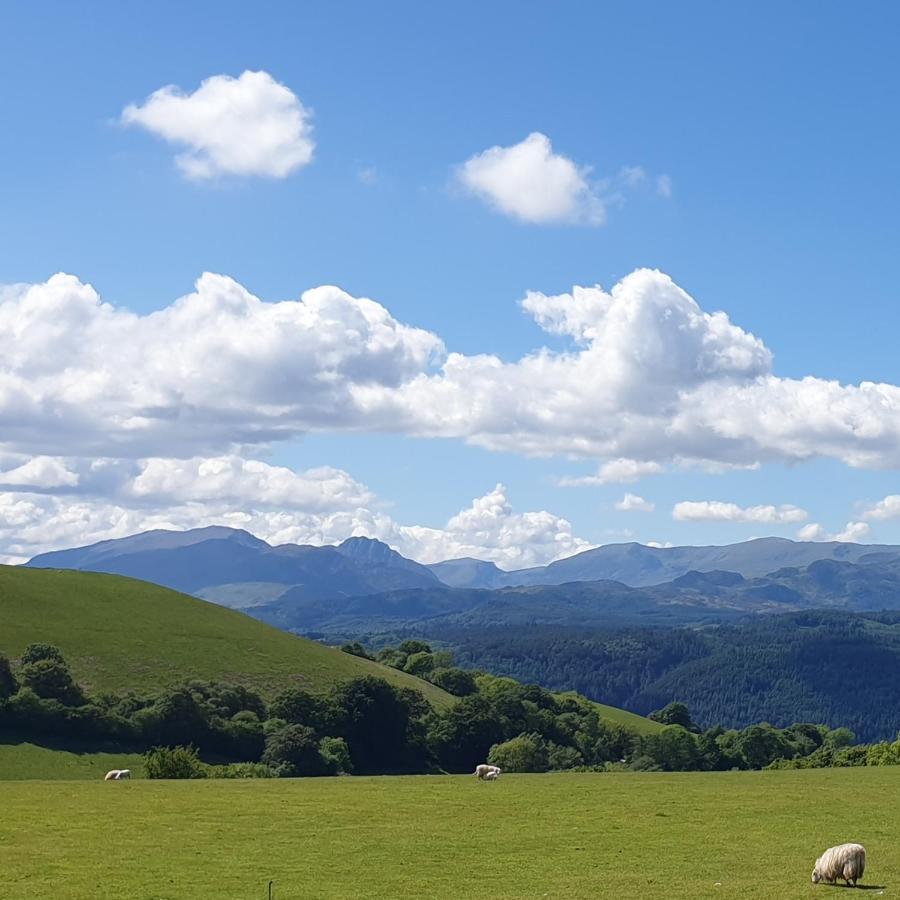 Snowdonia Shepherds' Huts Conwy Exteriör bild